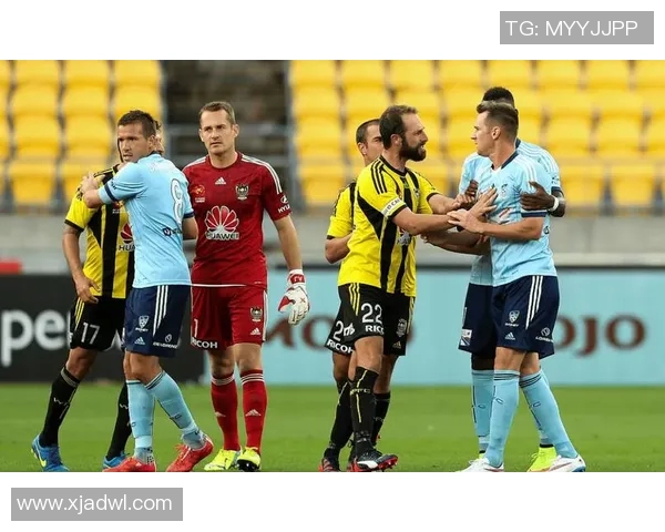 2019年西悉尼足球队对阵惠灵顿凤凰队精彩赛事回顾与分析