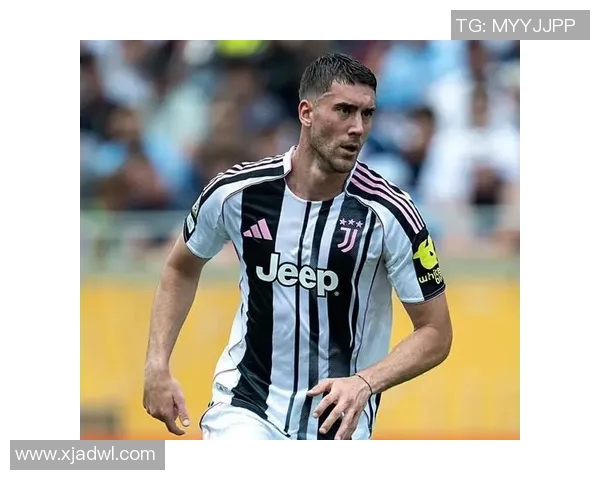 弗拉霍维奇：从新星崛起到足球巨星的奋斗历程与未来展望