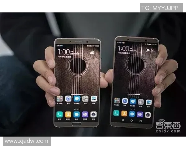 日本阿vs网站手机的全面对比分析与使用体验分享