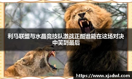 熊猫体育网页版