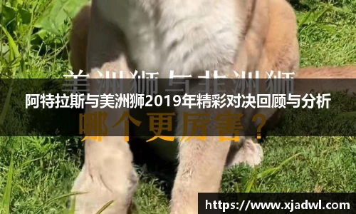 熊猫体育